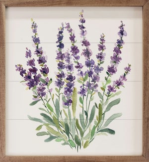 Lavender Botanical II By Carol Robinson